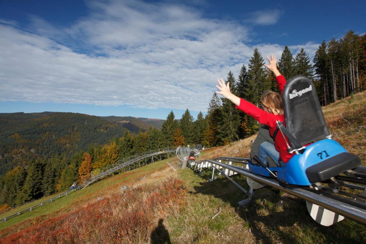 Апартаменты Black Forest Living - Тодтнауберг Экстерьер фото