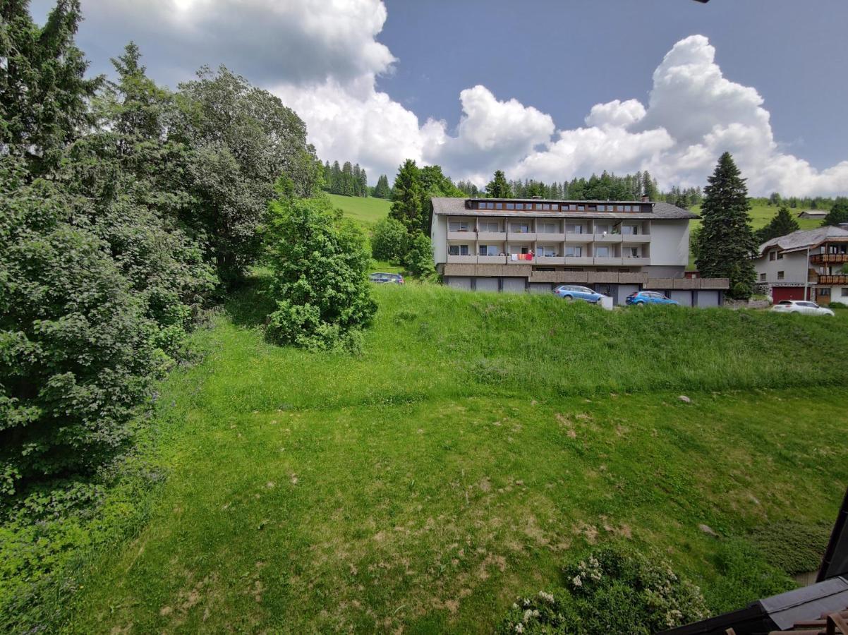 Апартаменты Black Forest Living - Тодтнауберг Экстерьер фото
